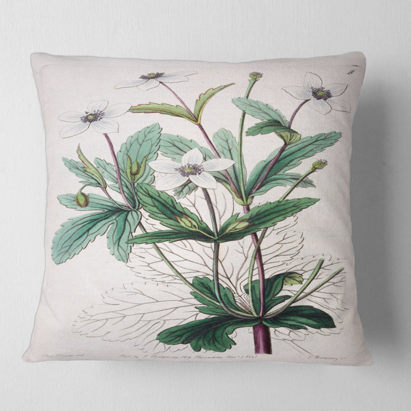 Vintage Plant Life XXI - coussin traditionnel imprimé, 18" x 18"