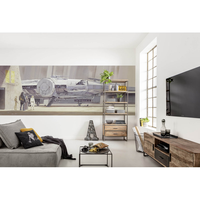 Star Wars Milleniumfalcon 1.27m x 368cm Smooth Matt Wall Mural