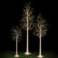 Ensemble de lumières DEL pour bouleau Adcock-2024130805
