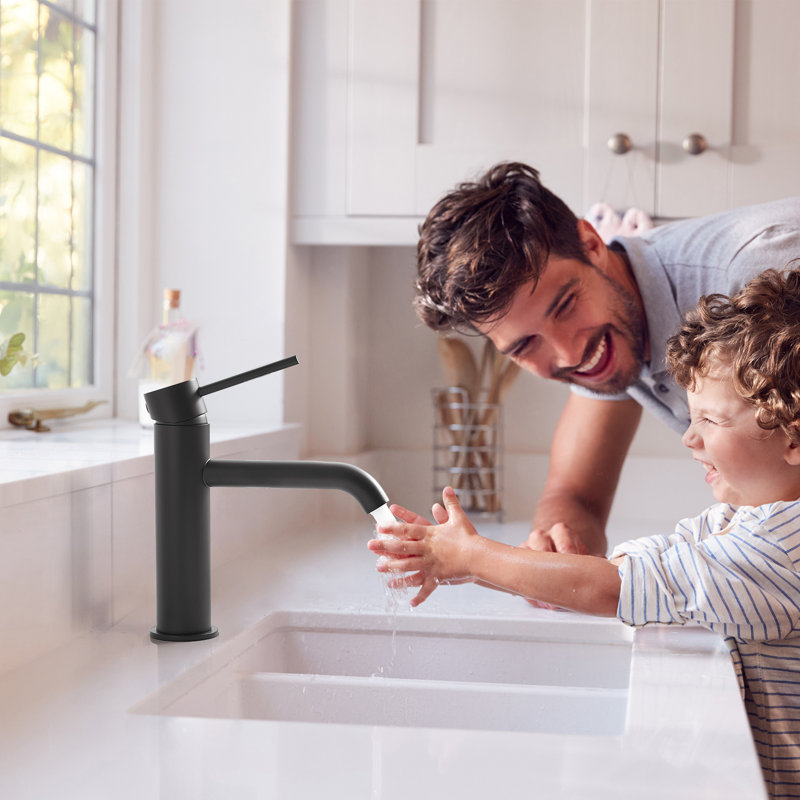 Single-Hole Single-Handle Bathroom Faucet, Matte Black