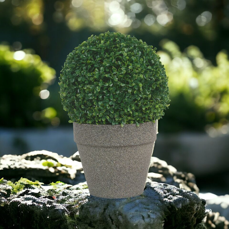 Caydon Pot Planter, 22 H x 22 W x 20.5 D cm, Black Galaxy