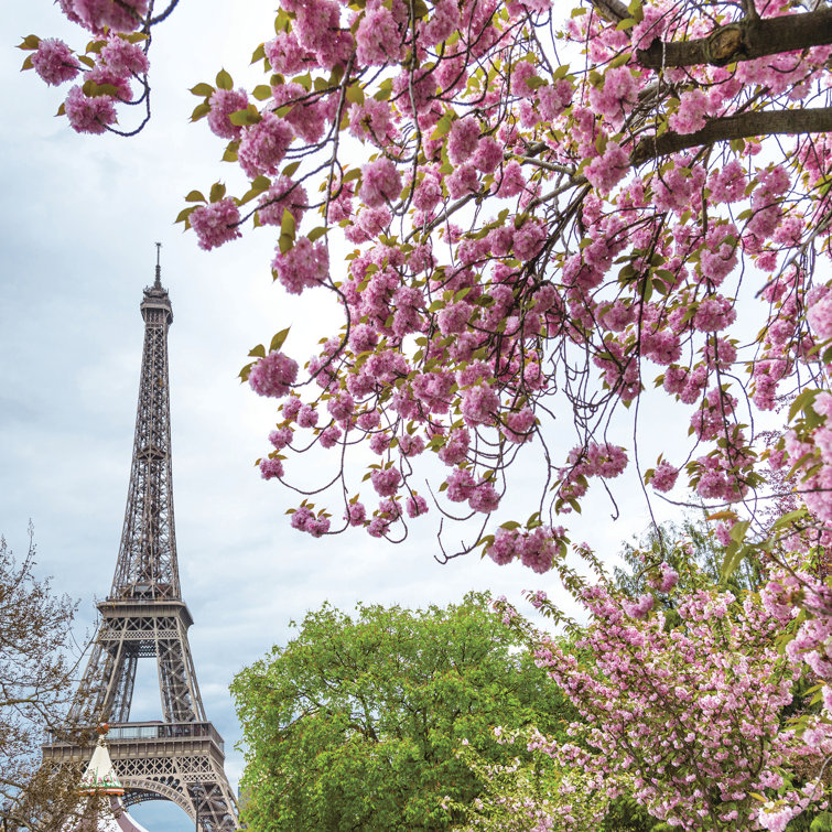 Lauren Eiffel Tower in the Spring 9' L x 108" W 6-Panel Wall Mural