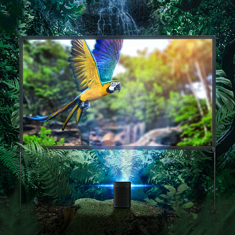 80"/100“/120" inch Projector Screen with Stable Stand 4K Resolution, 120"