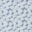 Del Coco Sheer Fabric-50800932