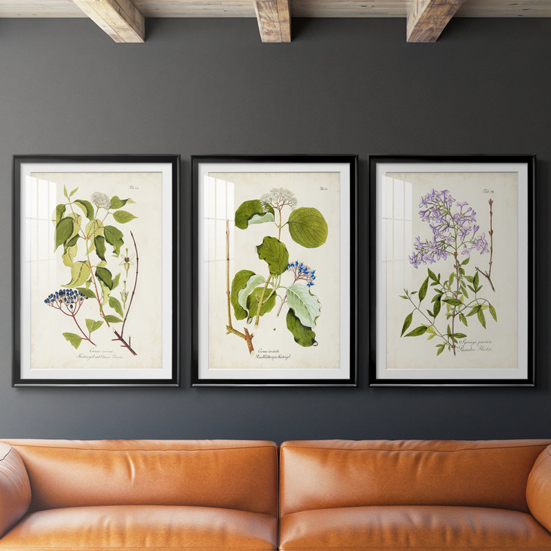 Arbre en fleurs I - reproduction sur mesure encadrée de qualité supérieure mate - 3 pièces, Noir, H 21 po x l 30 po