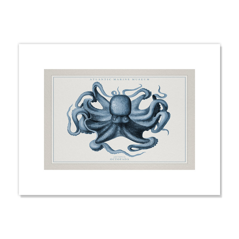 Octopus II, Atlantic Marine Museum, H 12 po x l 16 po x P 0,1 po, Papier