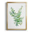 Eucalyptus III, reproduction encadrée de qualité supérieure - prête à être accrochée-178934180-178934176