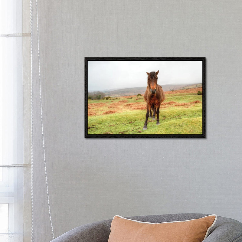 Stare Down by David Gardiner - Print on Canvas, Black Framed, 66.04 cm H x 45.72 cm W