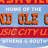 Grand Ole Opry Music City Nashville  LED Neon Rope Wall Sign