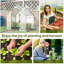 Salihah Walk In Tomato Greenhouse Steel Frame 180 x 100 x 168CM White