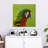 Brampt Macaw Bird Head-109376925