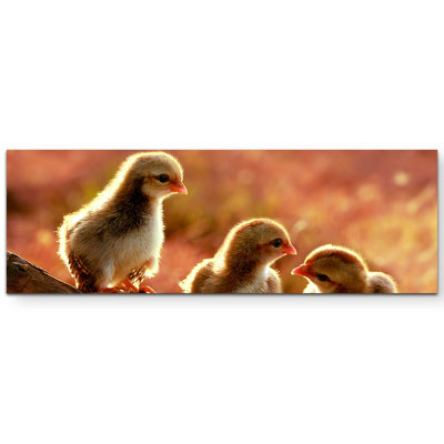 1 Piece Wrapped Canvas Wall Art