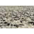 Donna Indoor Rug-30029621