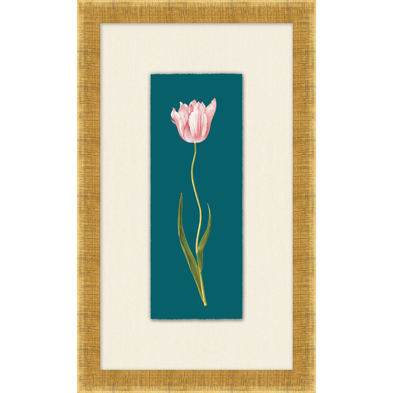 Tulipa Gesneriana 2 Print by Lillian August