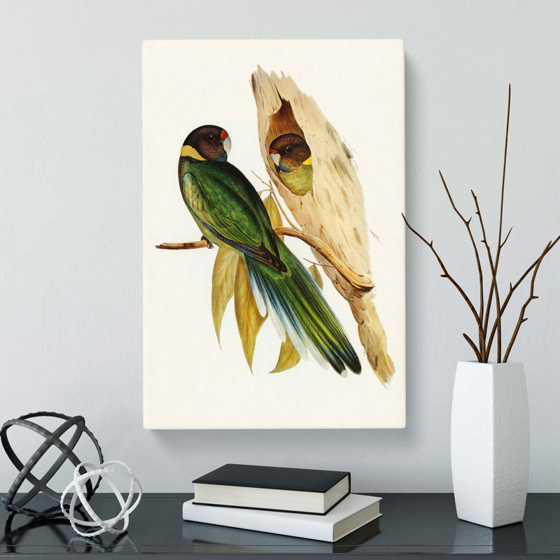 Yellow-Collared Parakeets by Elizabeth Gould - Wrapped Canvas, 76cm H x 50cm W x 3cm D