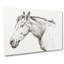 The Head of a Horse by Jean Bernard - Wrapped Canvas Drawing - Wrapped Canvas-55358408