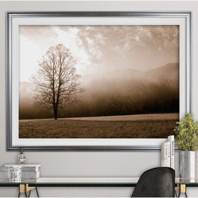 " Meadow Solace "