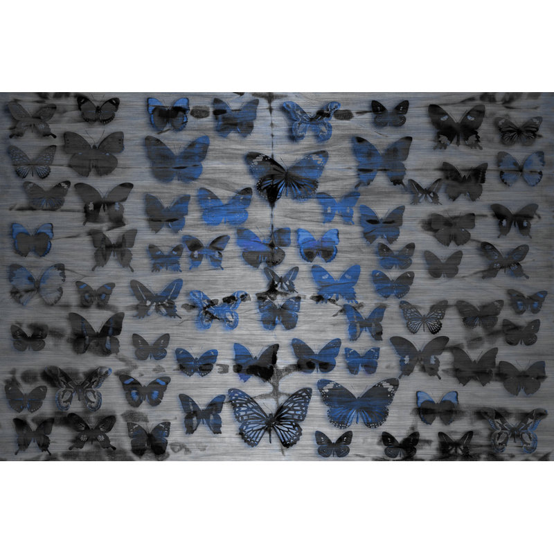 «Flutter Byes» par Parvez Taj - reproduction d'art non encadrée, H 8 po x l 12 po x P 1,5 po