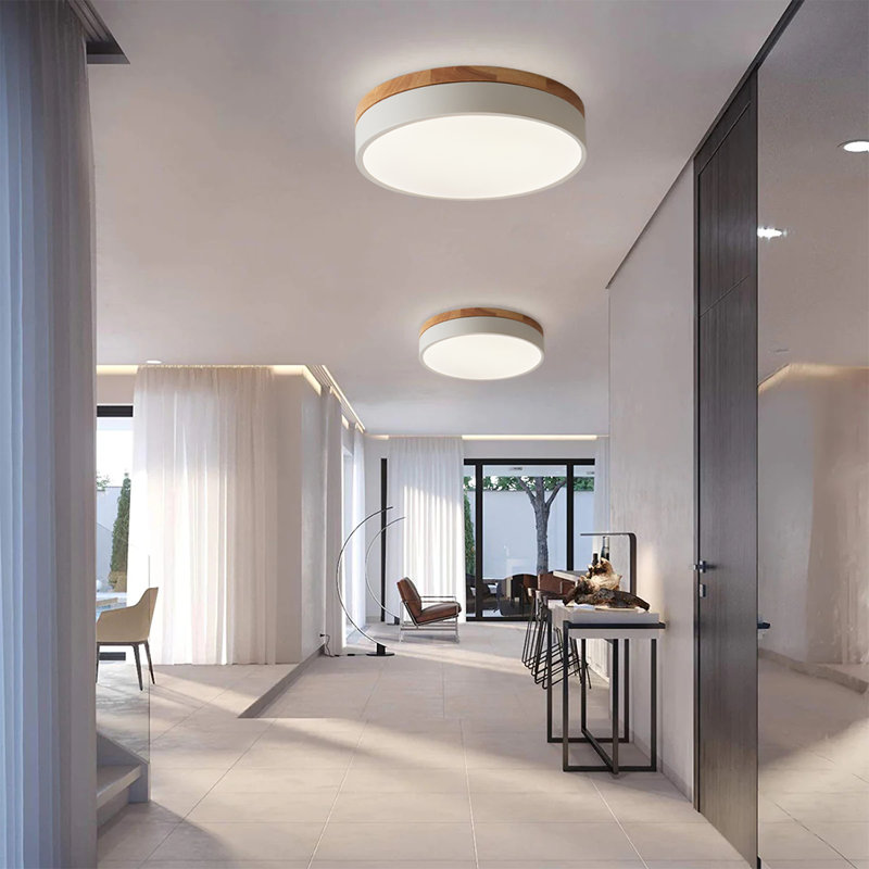 Circle Modern Led Flush Mount Ceiling Light, 4500 Kelvins, Silver