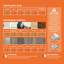 15cm W x 30.5cm L Gel Peel and Stick Subway Tile