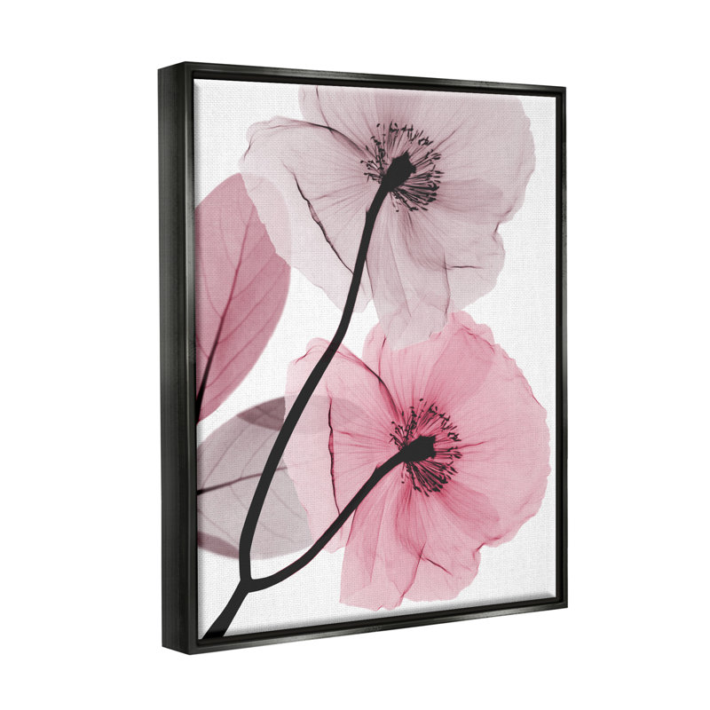 Impression Aw-998, coquelicots roses contemporains par Albert Koetsier, Cadre flottant noir de jais