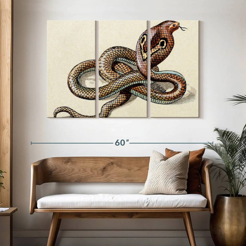 Brampt Indian Cobra, 32" H x 50" W