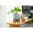 Pot Planter