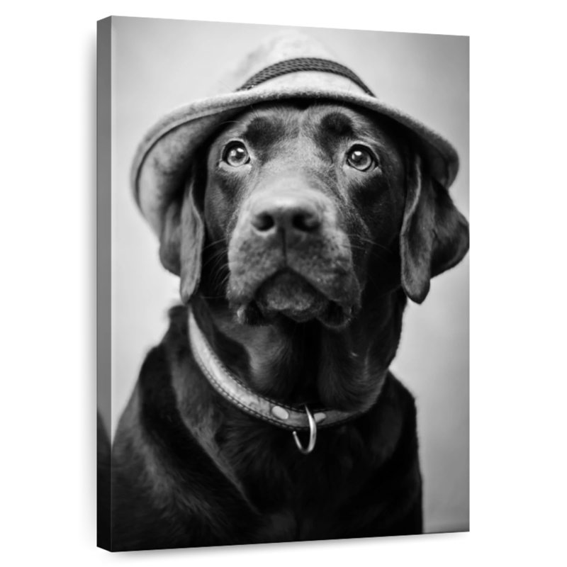 Brampt Black Labrador Boss, 36" H x 24" W