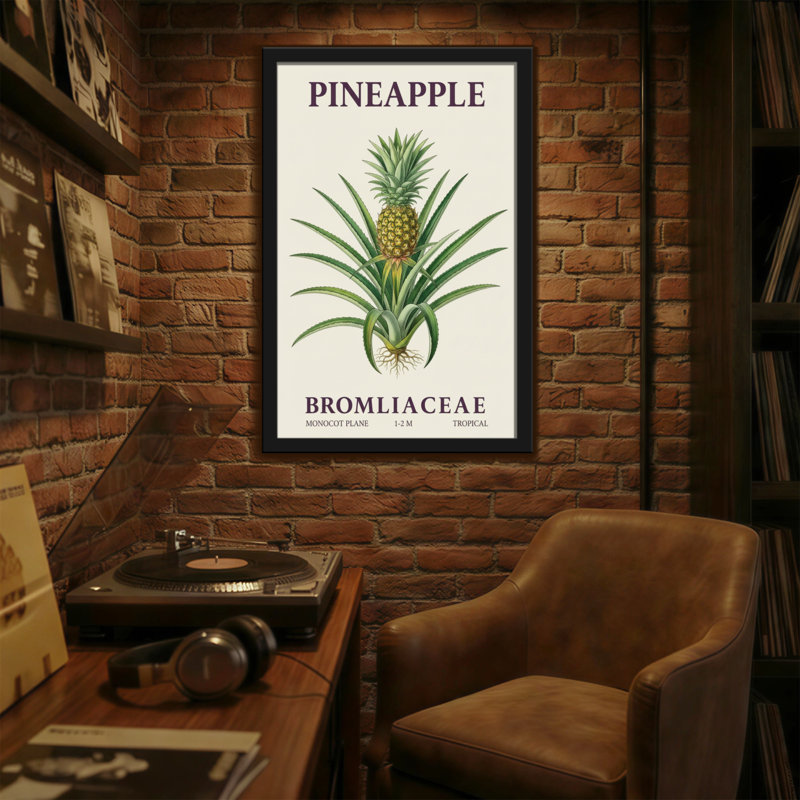 Plantes et fleurs, ananas, botanique, illustration, conception de fruits tropicaux, H 18 po x l 12 po