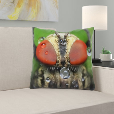 Coussin housefly