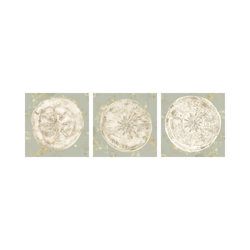 «Cone Shells Triptych», ensemble d'art mural sur toile tendue (ensemble de 3)