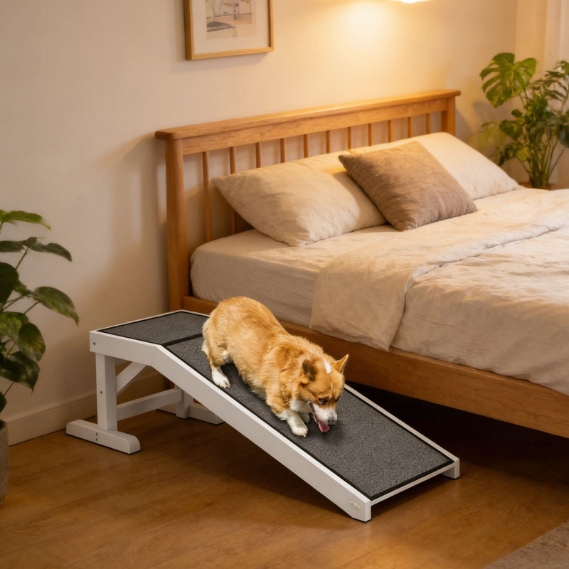 Rampe pour chat avec tapis et matériaux antidérapants, L 49,25 po x l 15,75 po, H 14 po, gris ou blanc, pour animaux de compagnie de moins de 66 lb