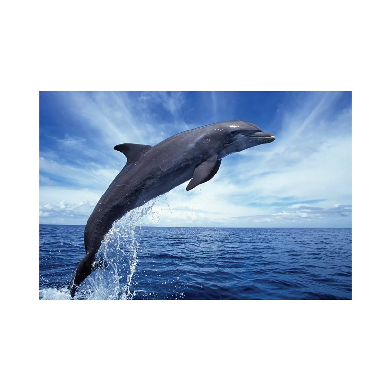Bottlenose Dolphin In The Caribbean, Off Roatan Island, Honduras II by VWPics - Wrapped Canvas Print