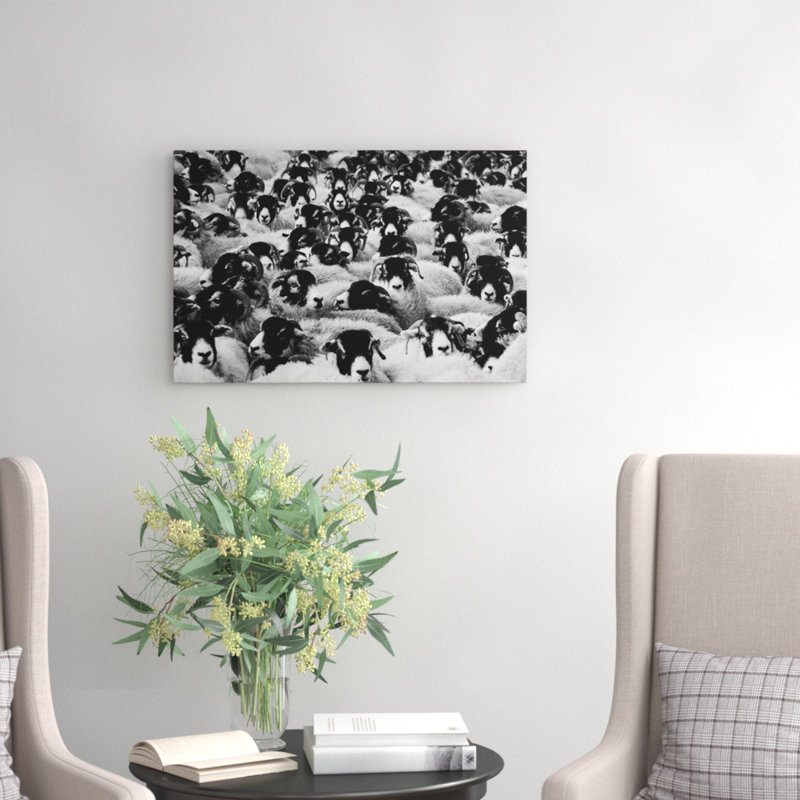 Flock of Sheep Photographic - Wrapped Canvas, 50cm H x 76cm W
