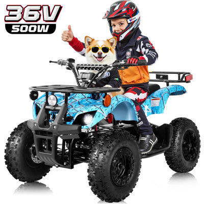 36 Volt Ride On Toys, 500W Motor Quad Bike For Big Kids, Power Car Wheel With Metal Frame, Speed Control, Suspension