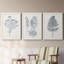 Indigo Botany Study VI - Ensemble de 3 peintures sur toile encadrées-1687871187-1687871184