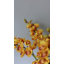 Cream Cymbidium Orchid 33"-1398070698
