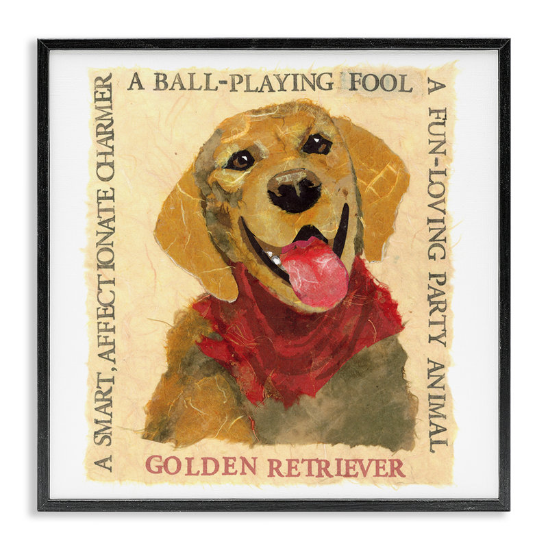 «Golden Retriever» amusant, estampe numérique encadrée par Nancy Overton, H 12 po x l 12 po, Giclée encadrée noir minuit