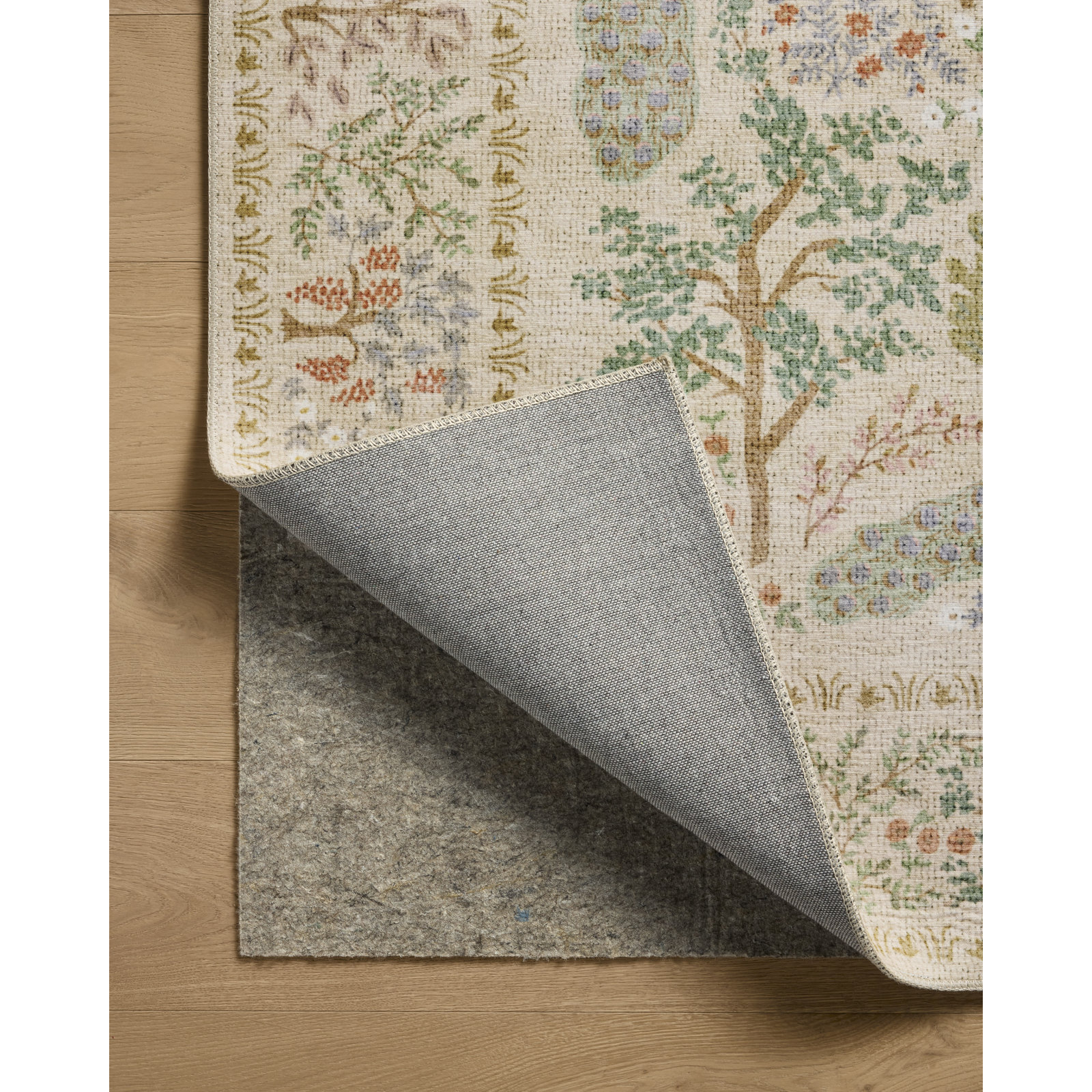 Canopy Cream Area Rug, Rectangle 2'3" x 3'9"
