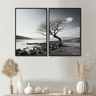 Beautiful Tree Black And White Lake Photography - Large Lake Canvas Prints