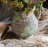 Rutan Handmade Ceramic Table Vase