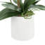Orchidées en pot-1865071651