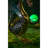Onancock Dragons Weather Resistant Metal Solar LED Garden Statue