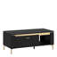 Baelin Coffee Table with Storage-1523259309