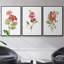 Ensemble de 3 pièces encadrées sur toile géranium écarlate-97706596-97706598