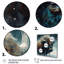 Bison Portrait In The Wild III - Buffalo, art mural-88534674-88534675