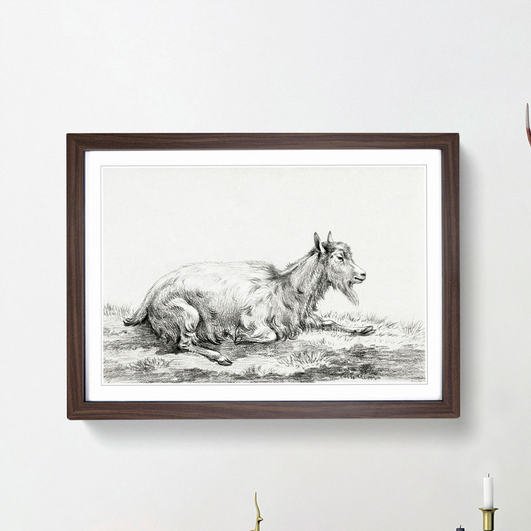 Resting Goat by Jean Bernard - Picture Frame Drawing Print