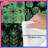 Green Botanical Patchwork Comforter-127458705