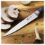 Couteau d'office 5 pouces ZWILLING