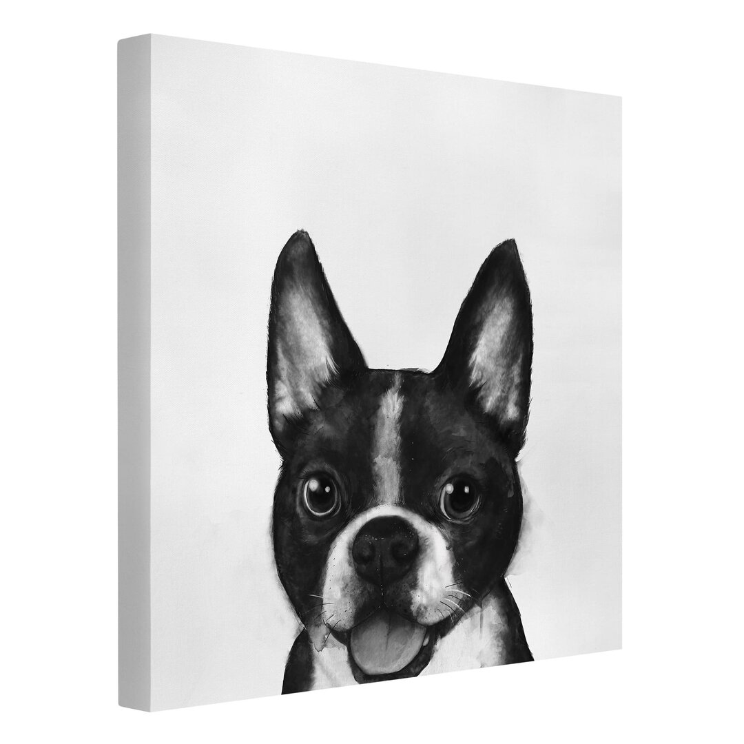 Leinwandbild Illustration Hund Boston